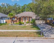 10423 Nightengale Drive, Riverview image