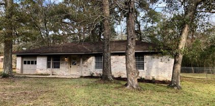 1825 Live Oak Drive, Conroe