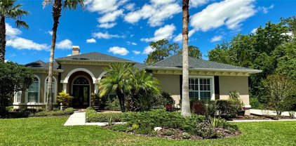 27001 Winged Elm Drive, Wesley Chapel