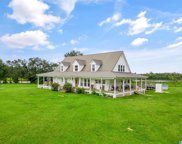 11492 Sipsey Valley Road, Buhl image