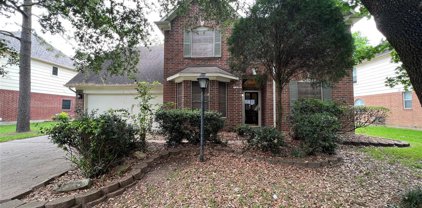 1236 Mossy Oak Drive, League City