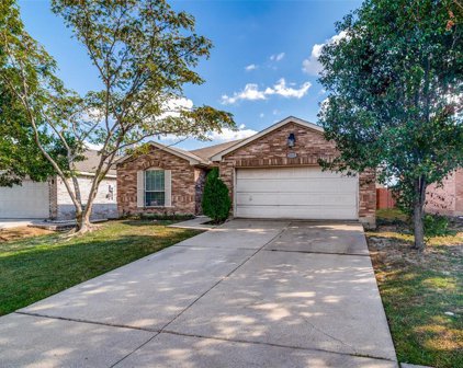 1017 Singletree  Drive, Forney