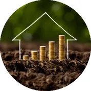 Home Value