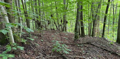 2 Lots Chestnut Falls, Beech Mountain