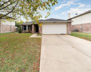 14837 Bridle Bend  Drive, Balch Springs image