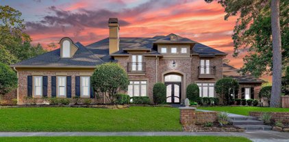 18 Greenway View Trail, Kingwood