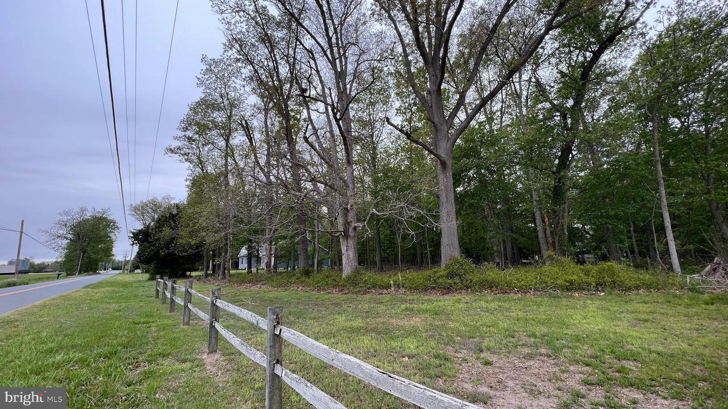 Lot 1 Piney Neck Road, Dagsboro DE 19939