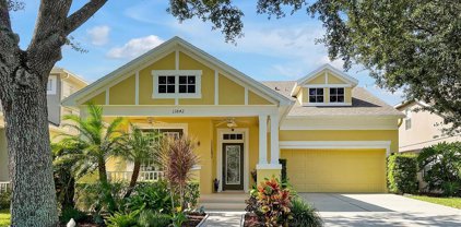 13842 Orange Crest Drive, Windermere