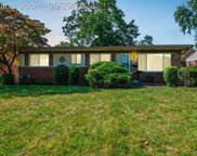 35951 ANN ARBOR, Livonia image