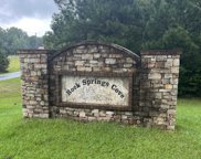 Springs Cove Road Unit 5, Warrior image
