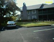 11816 Skylake Place Unit 11816, Tampa image