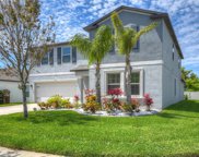 12230 Miracle Mile Drive, Riverview image