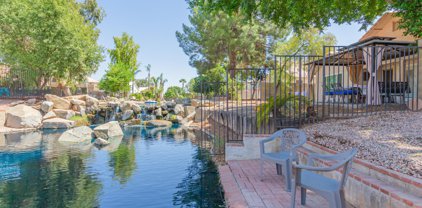 1236 E Cindy Street, Chandler