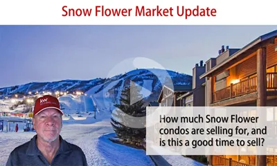 Snow Flower Market Update