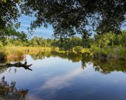 Moss Pointe Court, Johns Island image