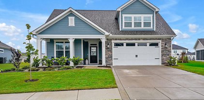 7322 Oakland Country Court, Winnabow