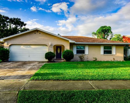 2653 Ocilla Court, Orlando