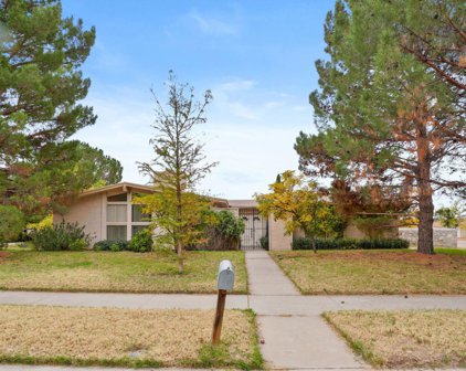 4249 La Adelita Drive, El Paso