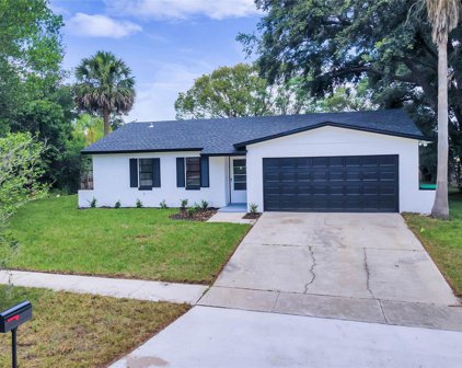 4505 Orangebrook Drive, Orlando