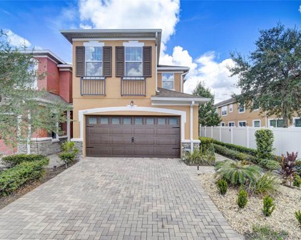 9575 Silver Buttonwood Street, Orlando