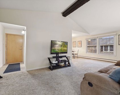 4612 Cedar Lake Road S Unit #6, Saint Louis Park