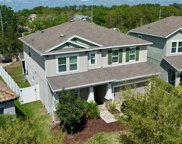 11824 Frost Aster Drive, Riverview image