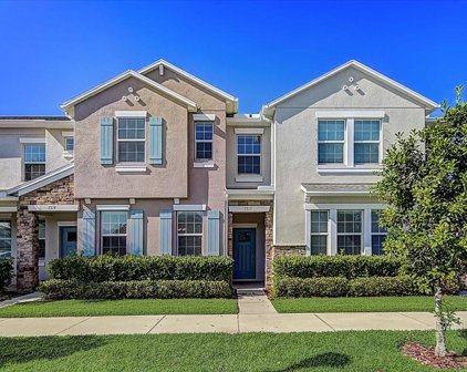 7317 Parkshore Drive, Apollo Beach