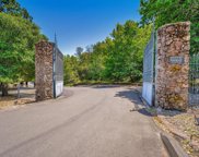 3650 White Alder, Sonoma image
