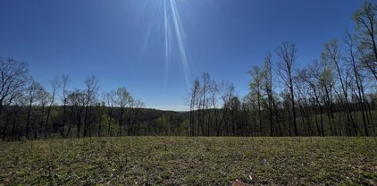 1276 Big Swan Creek Road, Hampshire