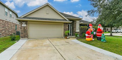 4302 Sprangletop Avenue, Baytown