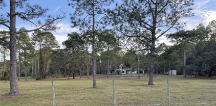 14528 Roxane Drive, Orlando