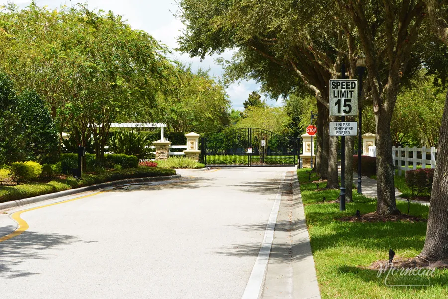 Orange Blossom Creek Lutz Florida 33558