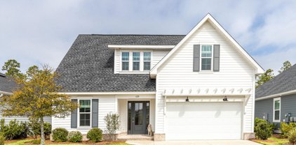 129 Windrow Way, Inlet Beach