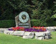 1975 Clubhouse Drive, Harbor Springs image