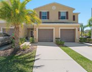 10707 Moonlight Mile Way, Riverview image