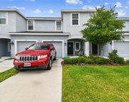 7109 Summer Holly Place, Riverview image
