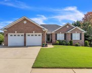 6 St Thomas Court, Greer image