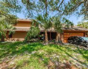 3285 Mallard Drive, Safety Harbor image