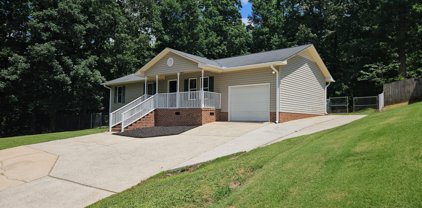 3894 Berry Mill Drive, Greer