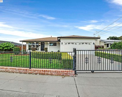 35952 Cabrillo Dr, Fremont