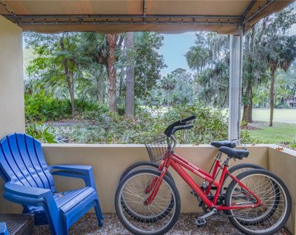 70 Shipyard Drive Unit 117, Hilton Head Island