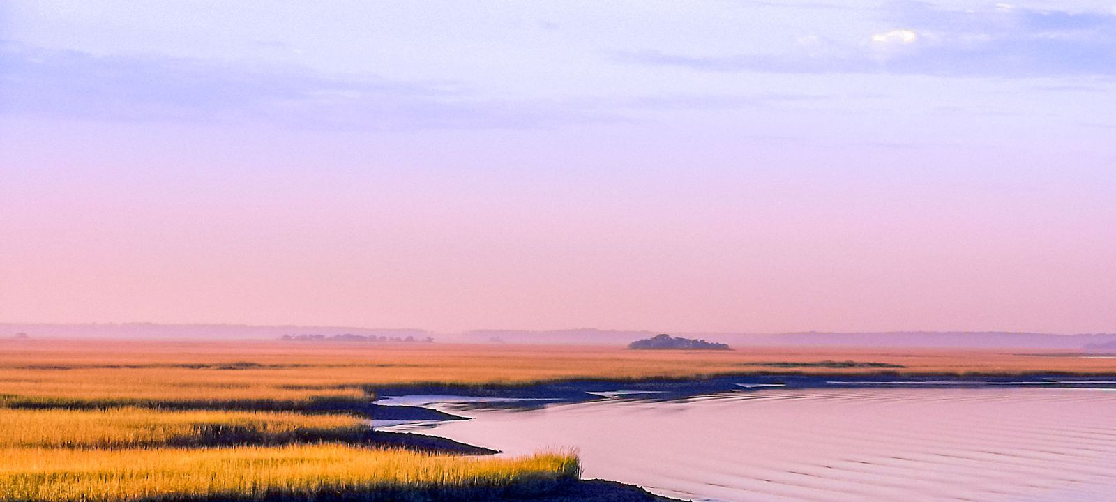 Lowcountry Coastal Real Estate