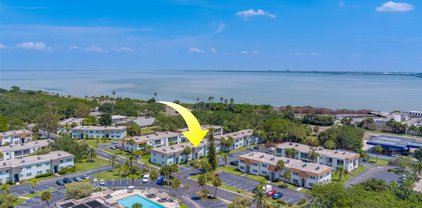 369 S Mcmullen Booth Road Unit 84, Clearwater