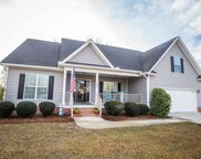 287 Rapid Run, Camden image