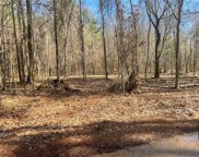 Lot 1 Old Beaubouef  Road, Deville image