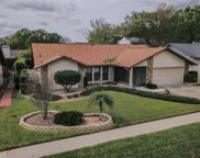 2724 Briarpatch Drive, Valrico image