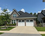 765 Xander Way, Chapin image