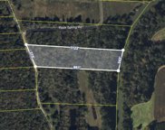 Tract 29 Rock Spring Road, Owens Cross Roads image