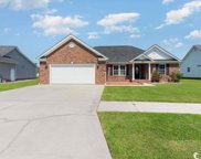 3012 Shallow Pond Dr., Conway image