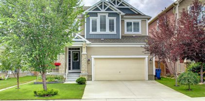 140 Viewpointe Terrace, Chestermere